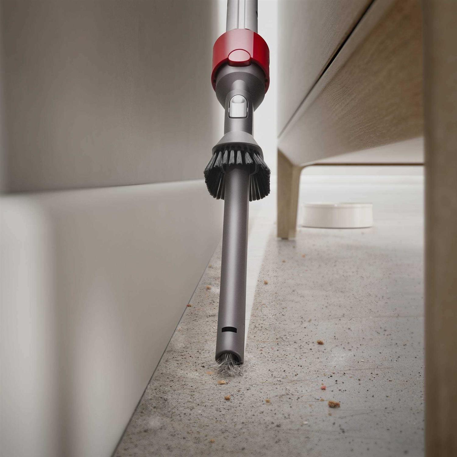 Dyson Ball Animal 3