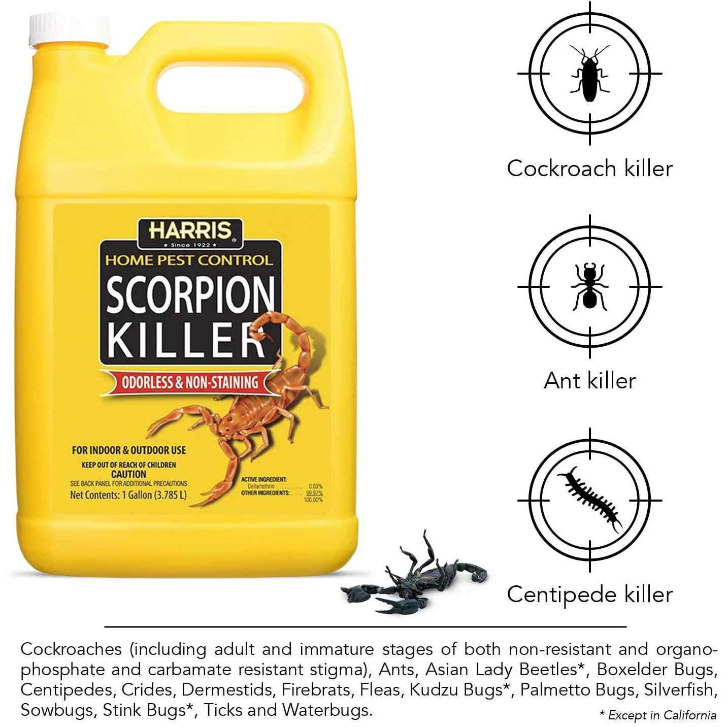 Harris Scorpion Killer Gallon Spray