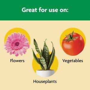 Miracle Gro Shake N Feed All Purpose Plant Food