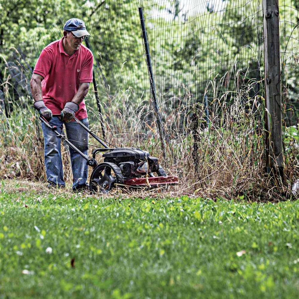 Earthquake Walk Behind String Mower 160cc