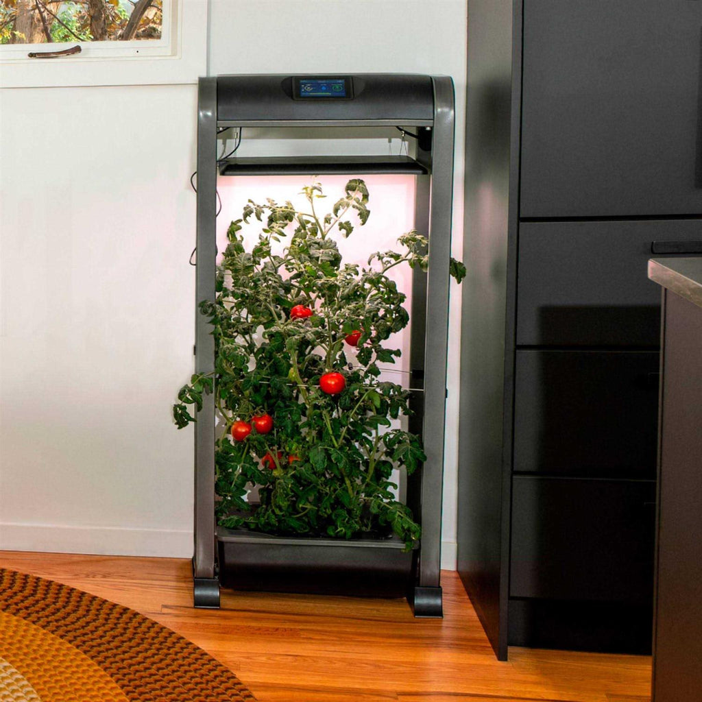 AeroGarden Farm 12XL with Salad Bar Seed Pod Kit