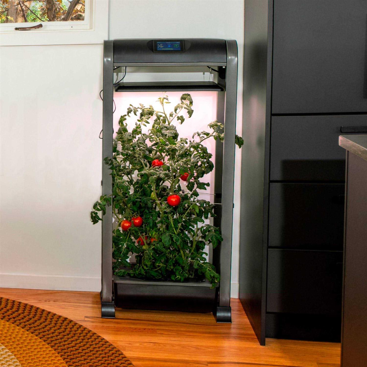 AeroGarden Farm 12XL with Salad Bar Seed Pod Kit