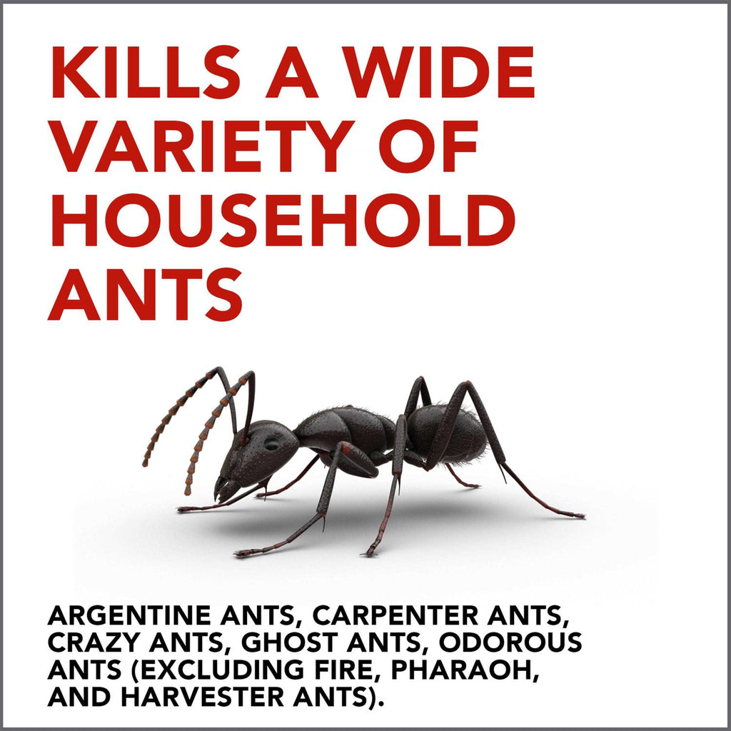 Raid Ant Gel