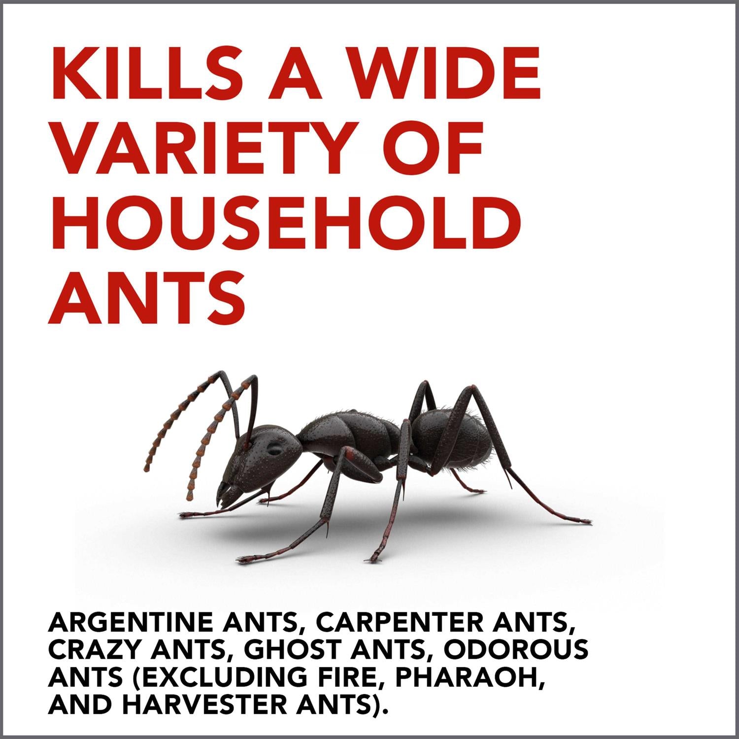 Raid Ant Gel