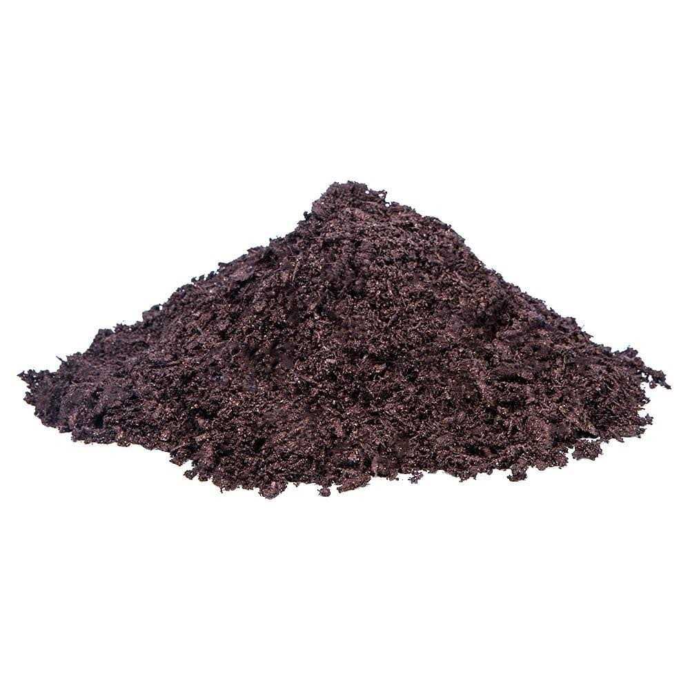 Evergreen Organic Top Soil 648834