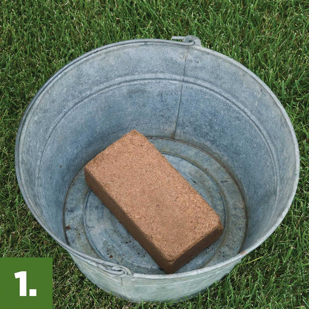 Burpee 8 Qt. Concentrated Seed Starting Mix
