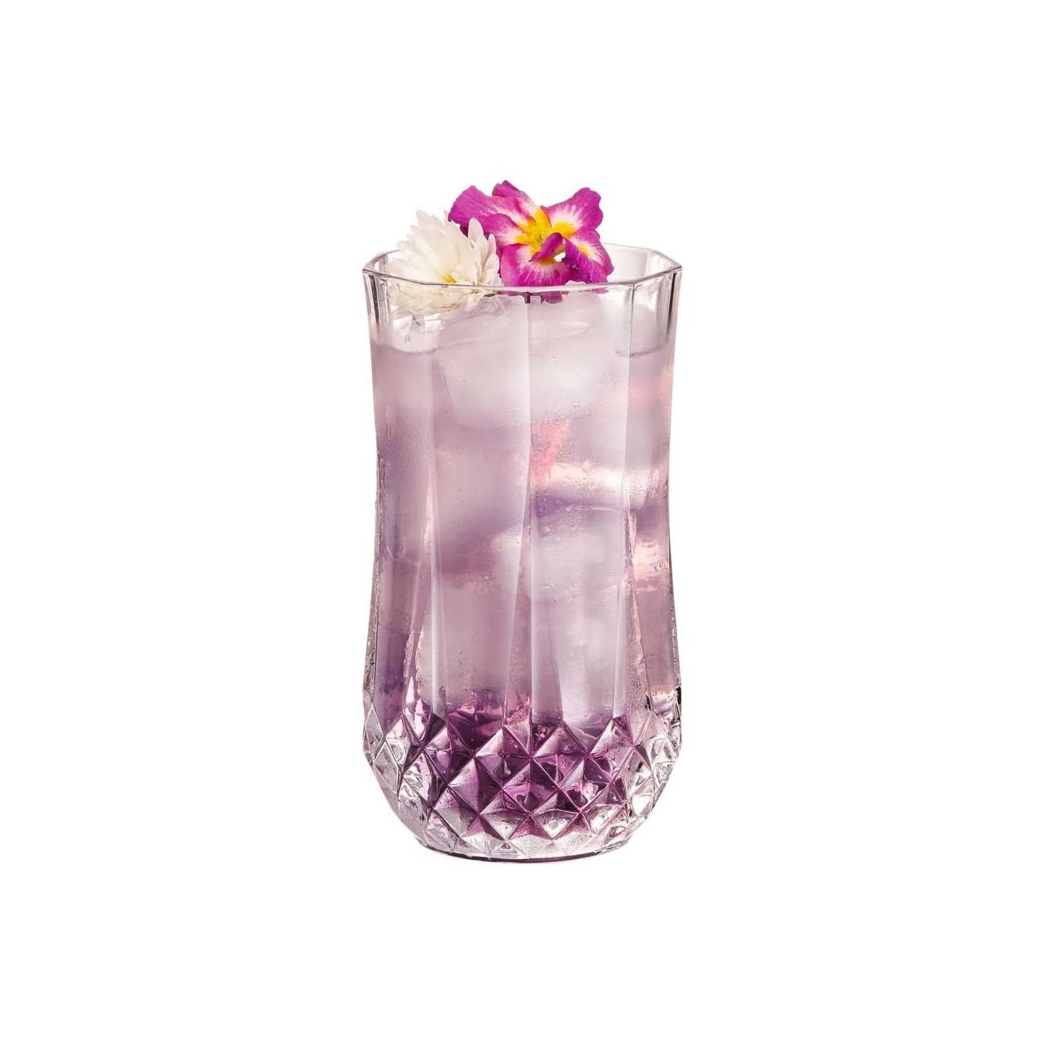 Cristal D’Arques Longchamp Set of 4 Highball Glasses
