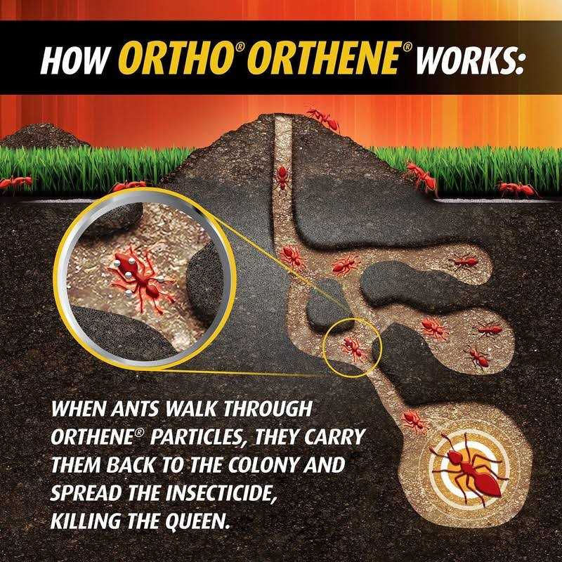 Ortho Orthene Fire Ant Killer