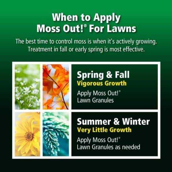 Lilly Miller Moss Out Granules