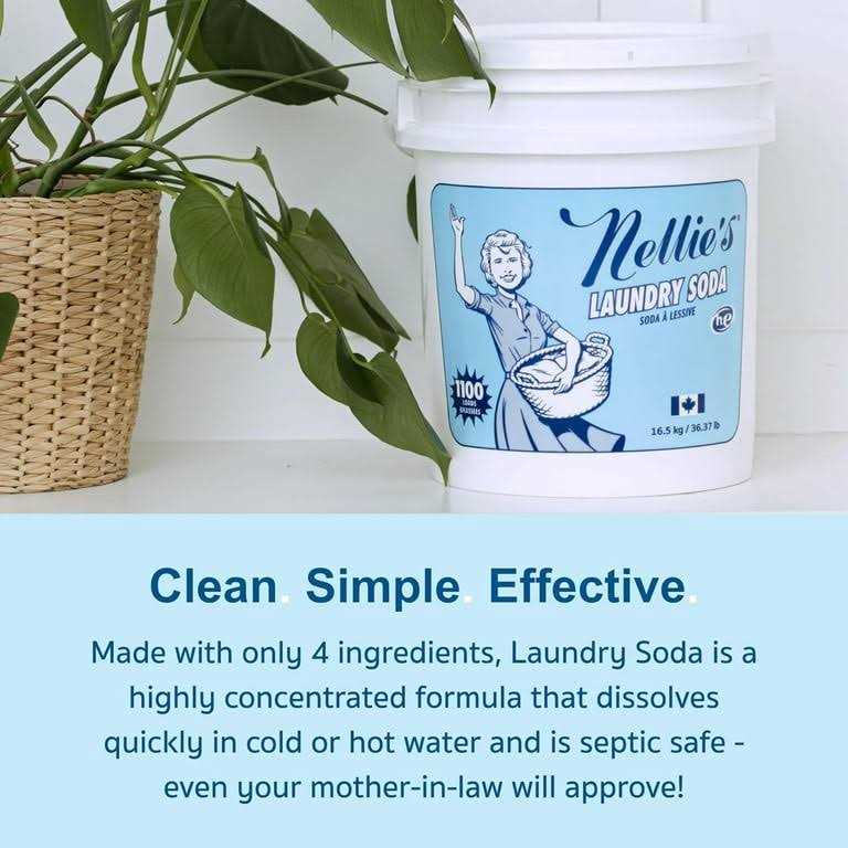 Nellie’s Laundry Soda