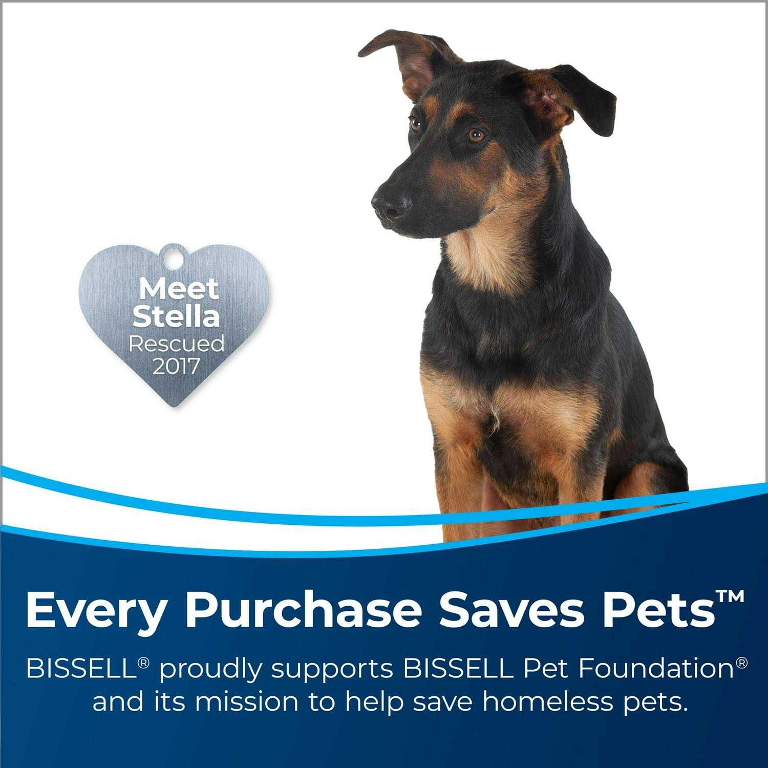 Bissell Powerforce Powerbrush Pet XL Carpet Cleaner