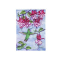 Fuschia Hummingbird
