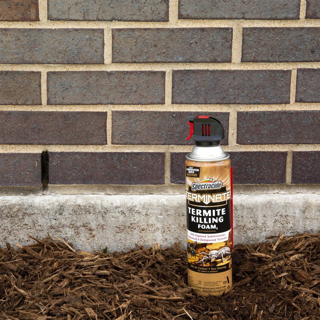 Spectracide 16 oz Termite Killing Foam