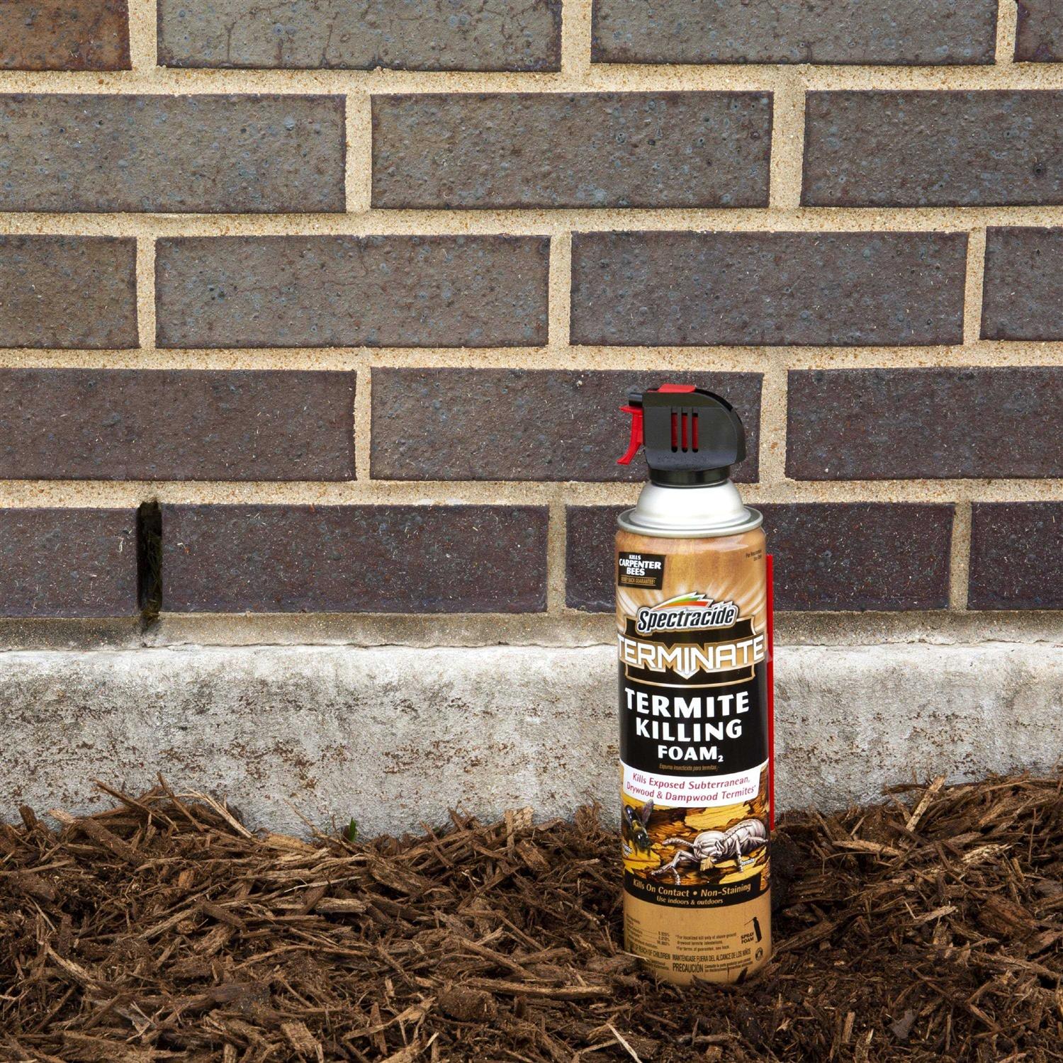 Spectracide 16 oz Termite Killing Foam