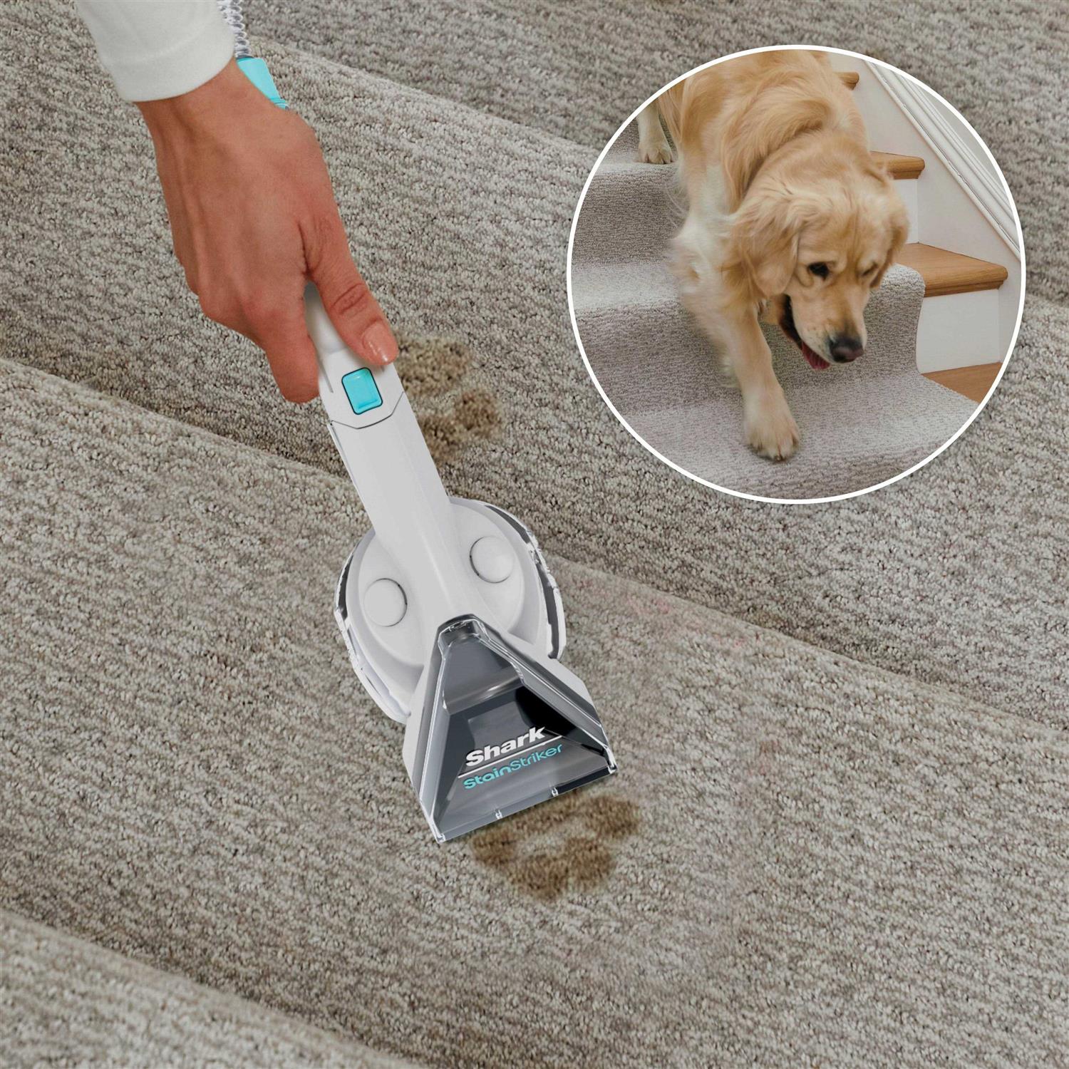 Shark CarpetXpert Deep Carpet Cleaner EX201