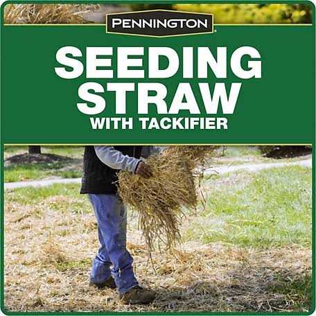 Pennington Seeding Straw 2.5 CF