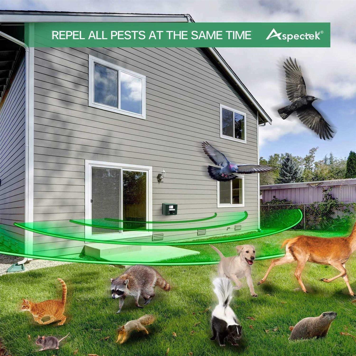 Repellex Mole and Gopher Repellent 10530