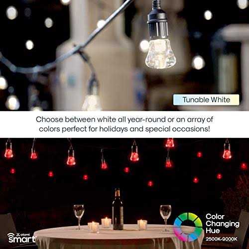 Atomi Color Smart LED String Lights