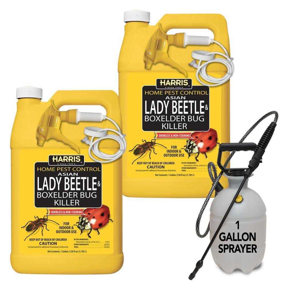 Harris Asian Lady Beetle & Box Elder Bug Killer