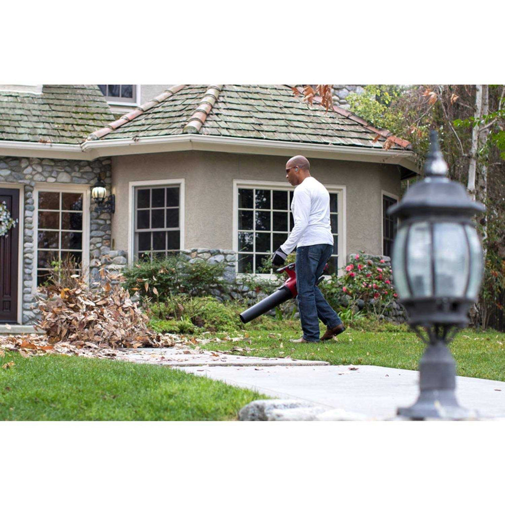 Toro Cordless Leaf Blower