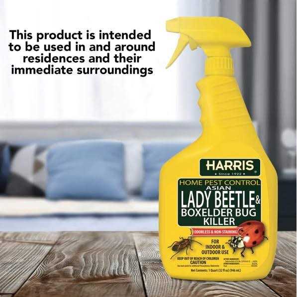 Harris Asian Lady Beetle & Box Elder Bug Killer