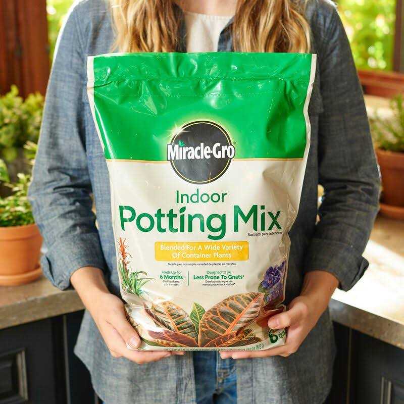Miracle Gro Indoor Potting Mix