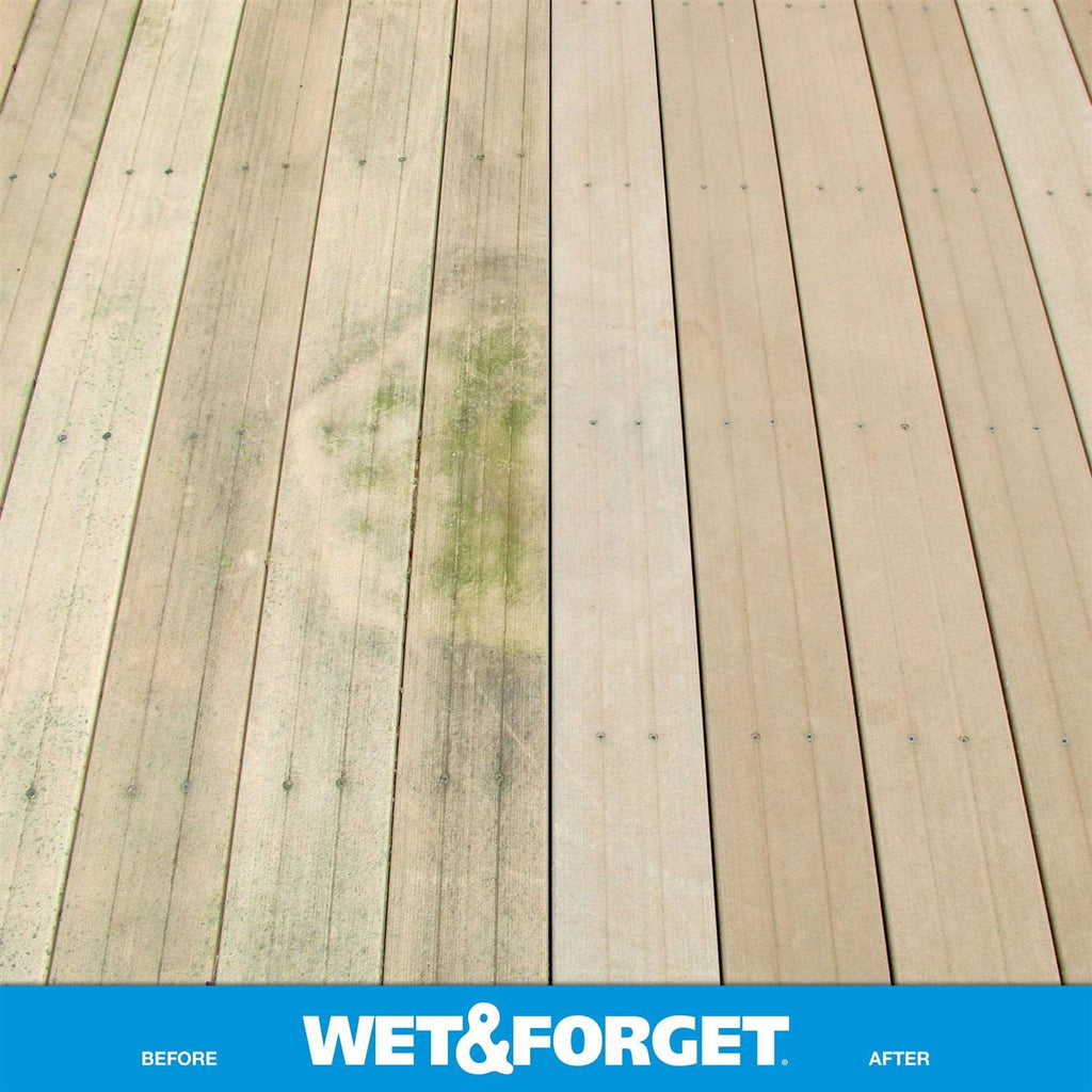 Wet & Forget Moss Mold & Mildew Stain Remover