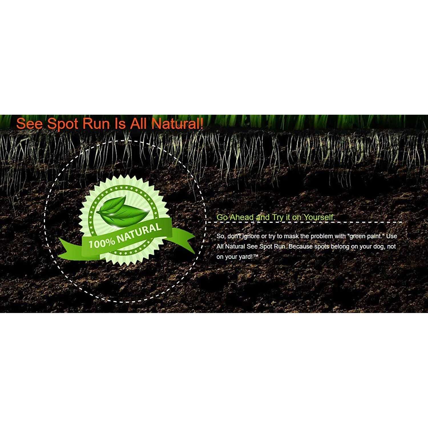 See Spot Run Dog Urine Neutralizer for Lawn Protection Cures and Prevents Burn Spots
