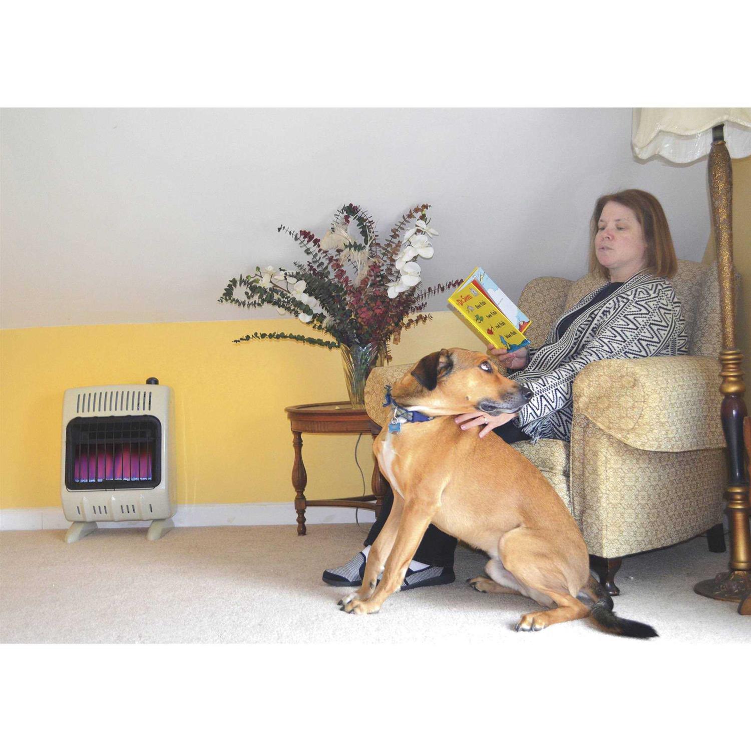 Mr. Heater 10,000 BTU Vent Free Blue Flame Propane Heater