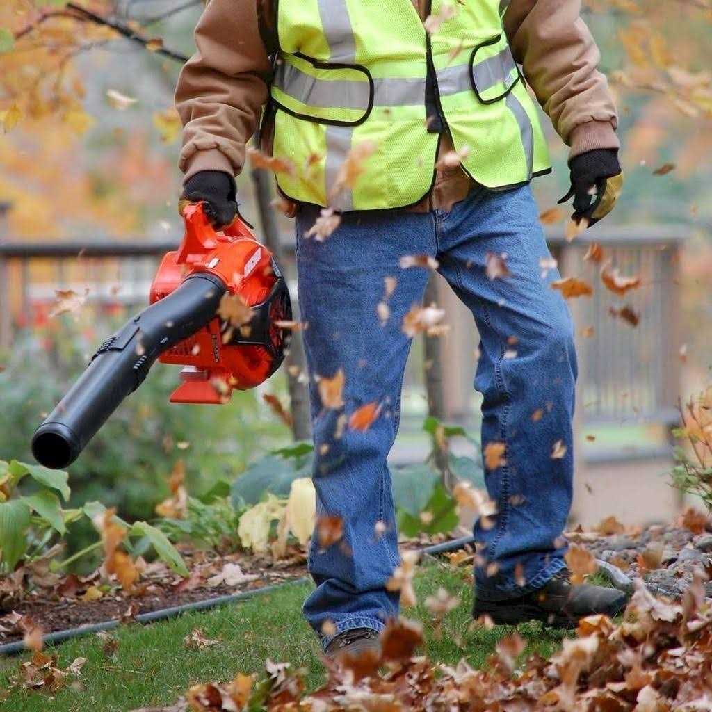 Echo PB-2520 Handheld Leaf Blower