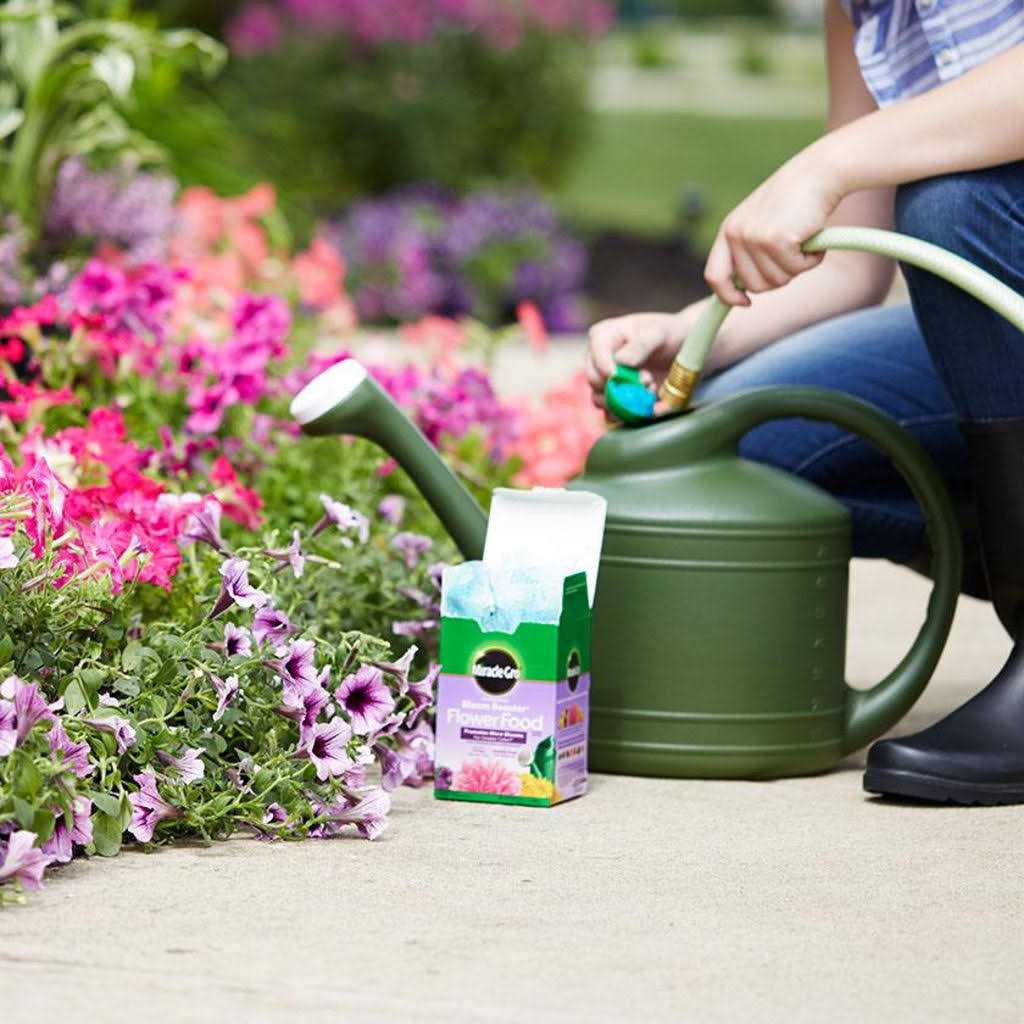 Miracle Gro Bloom Booster Flower Food