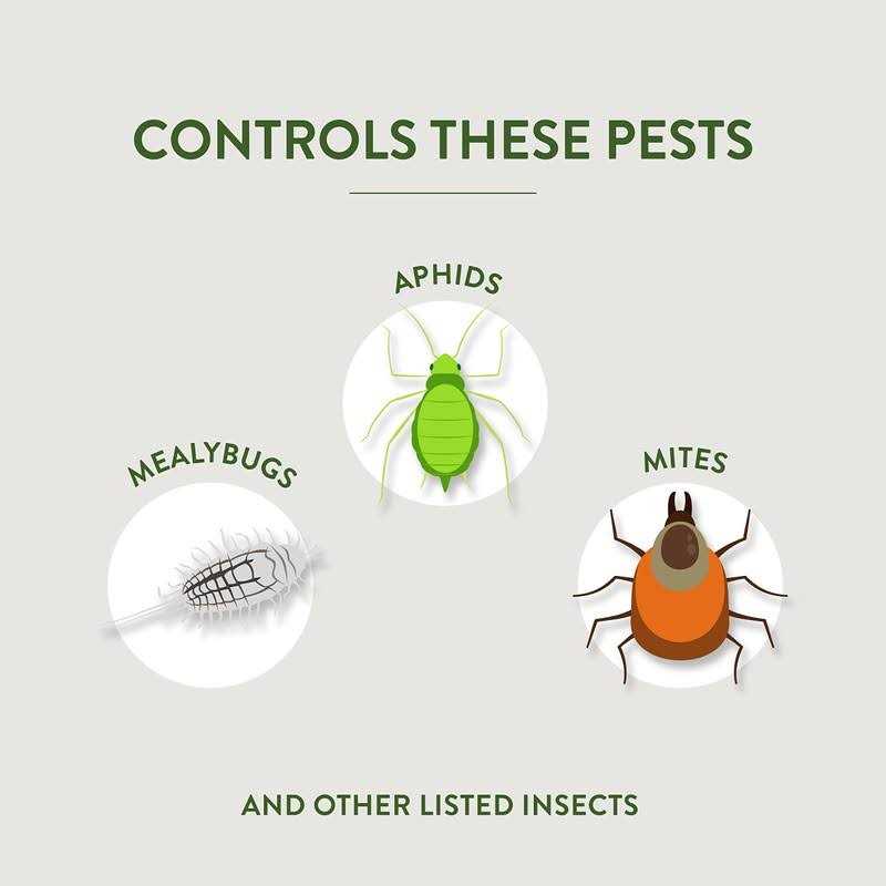Garden Safe Insecticidal Soap Insect Killer 32 oz