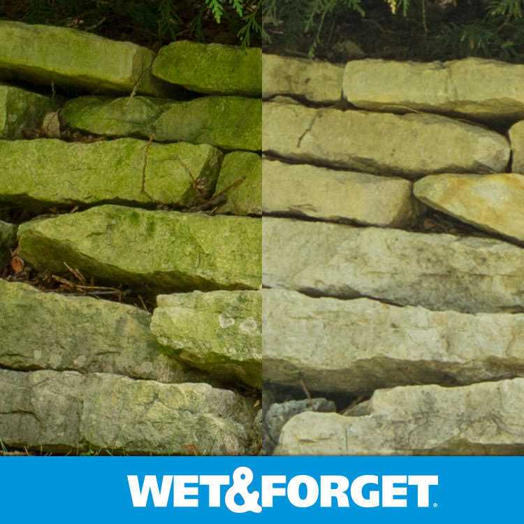 Wet & Forget Moss Mold & Mildew Stain Remover