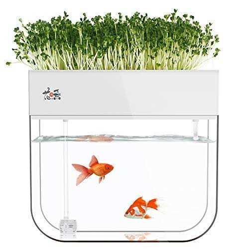 Huamuyu Hydroponic Garden Aquaponic Fish Tank Plants Growing Syste