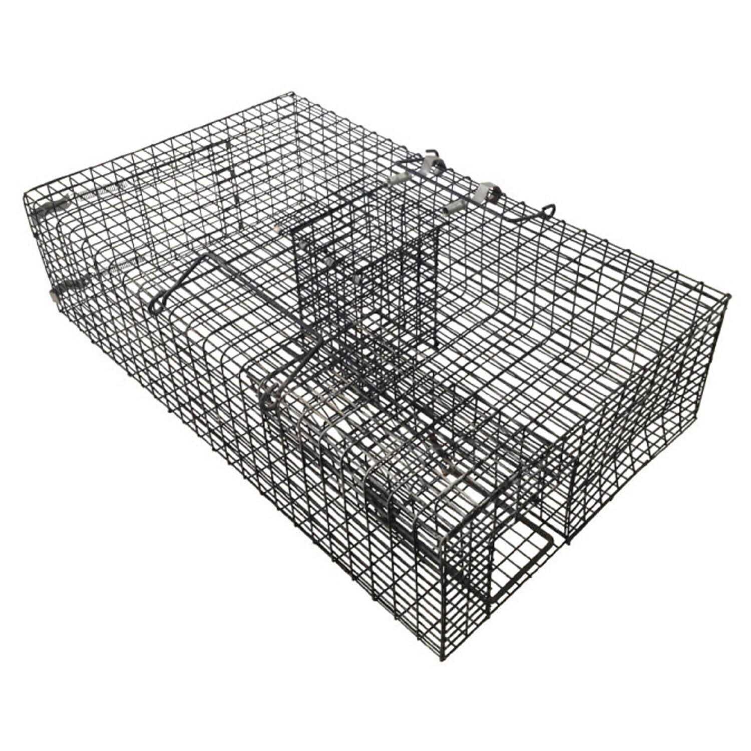 Catchmor Ratinator Rat Trap