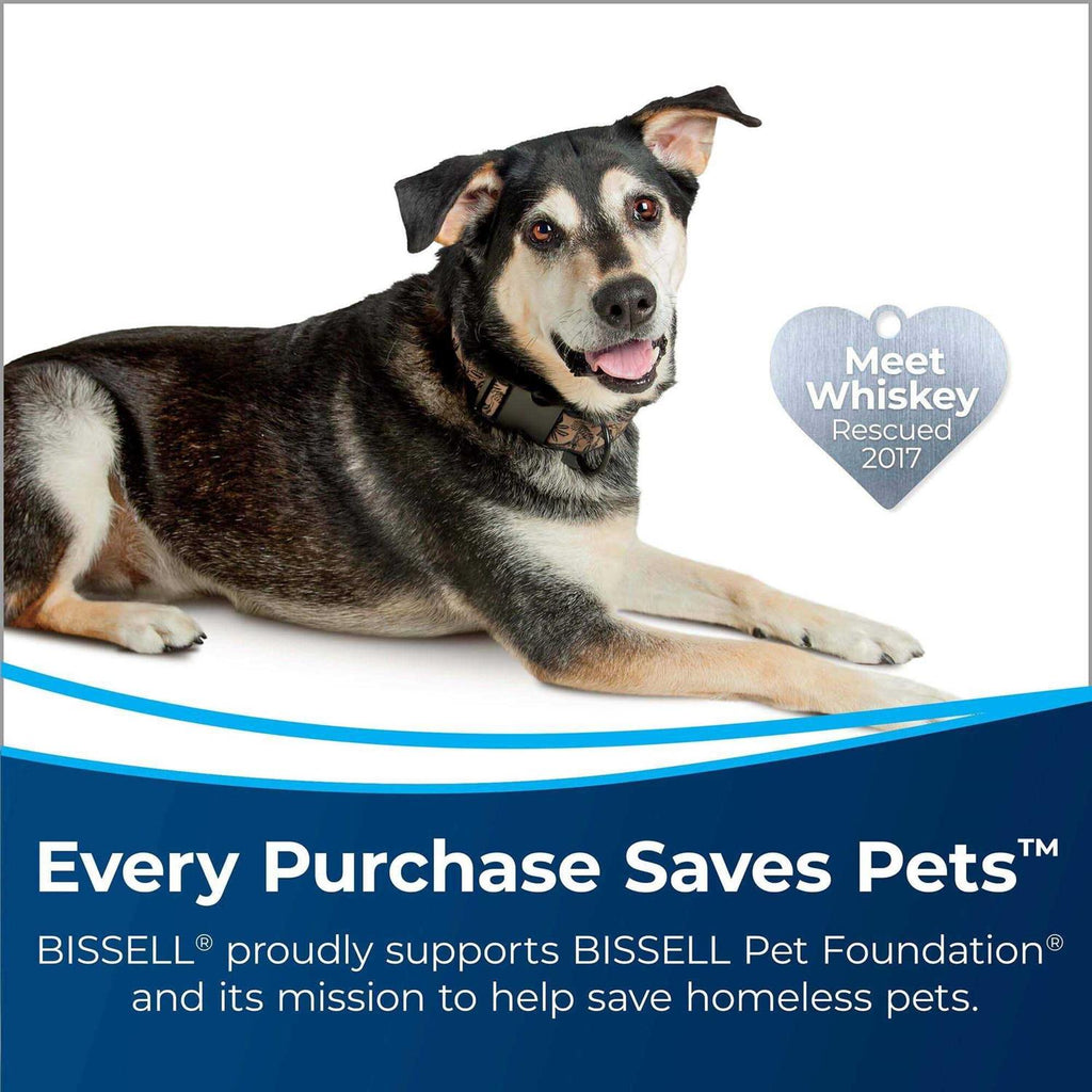 BISSELL TurboClean PowerBrush Pet 2806