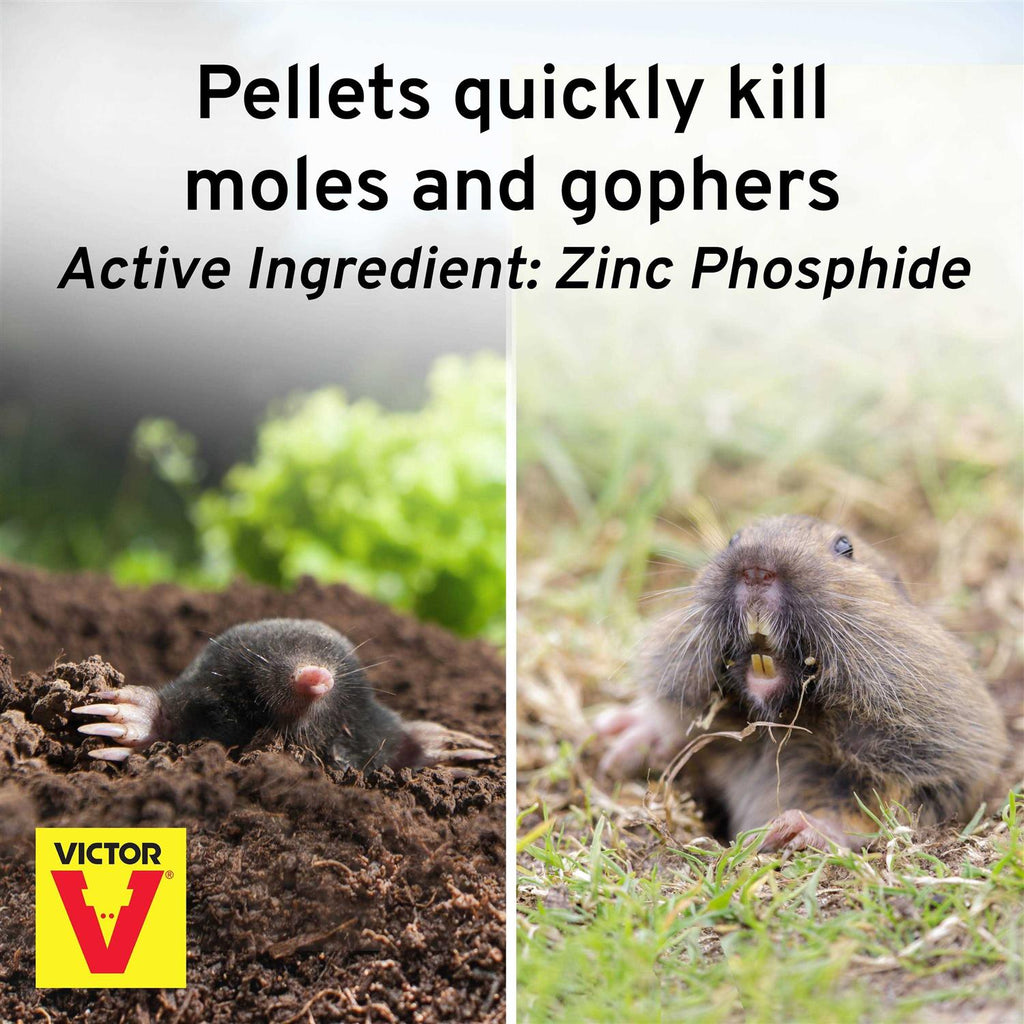 Victor Mole & Gopher Poison Peanuts