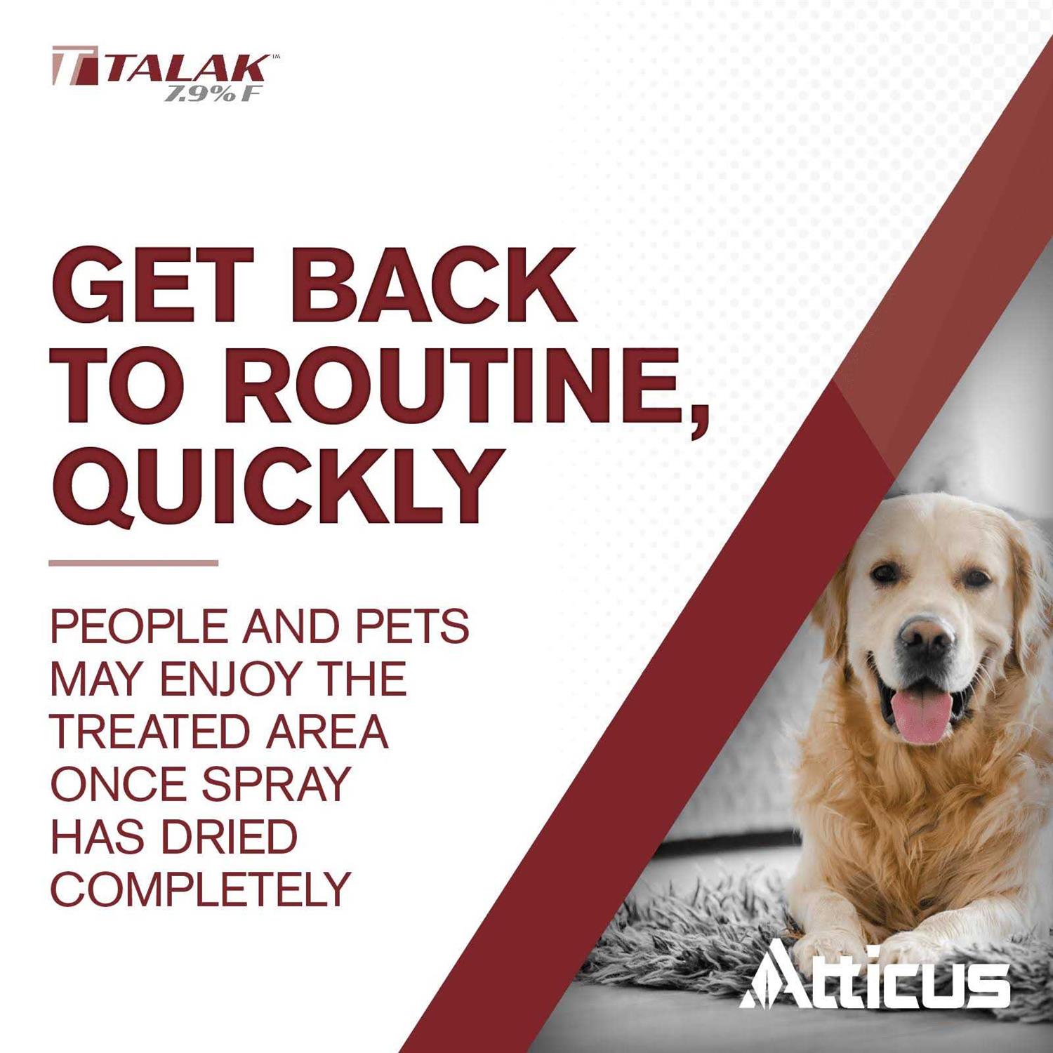 Talak 7.9 F Bifenthrin Insecticide Concentrate by Atticus Indoor and Outdoor Insect Control