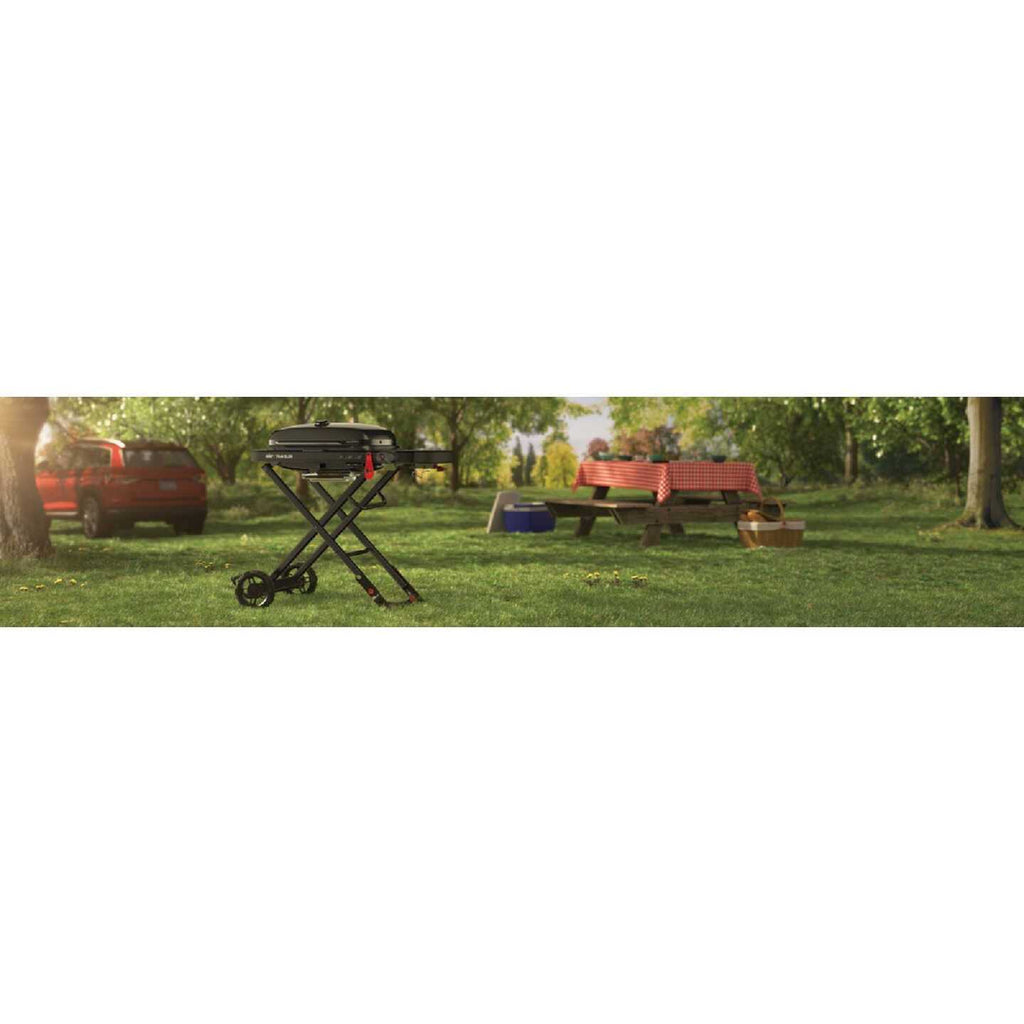 Weber Traveler