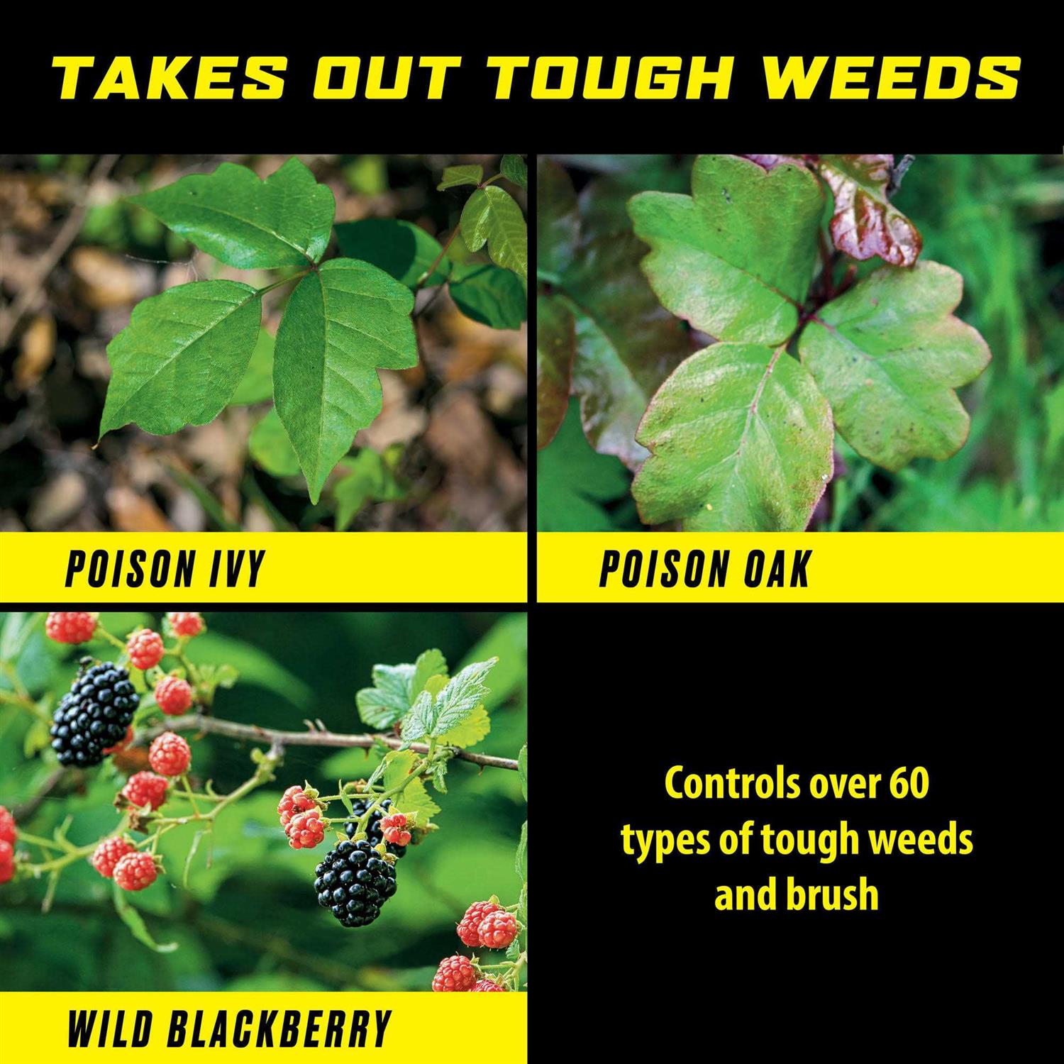 Ortho GroundClear Poison Ivy & Tough Brush Killer