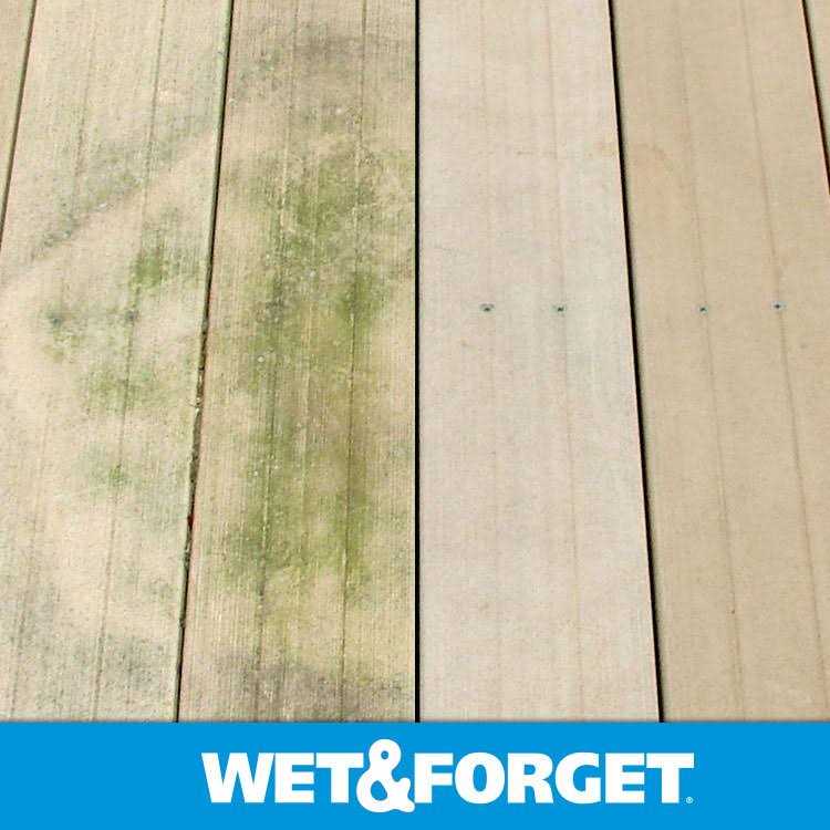 Wet & Forget Moss Mold & Mildew Stain Remover