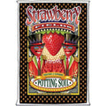 FoxFarm Potting Soil Strawberry Fields