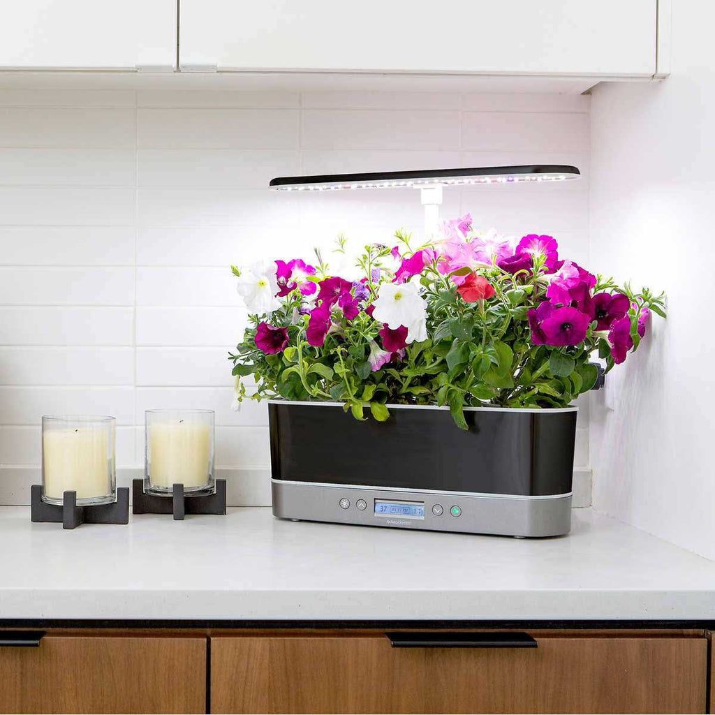 AeroGarden Bounty Elite Indoor Garden with LED Grow Light
