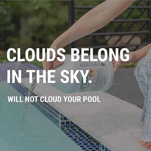 Champion Pool Shock Ready to Use Liquid Chlorine