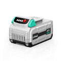 Litheli 40V 4.0Ah Lithium Ion Battery Pack