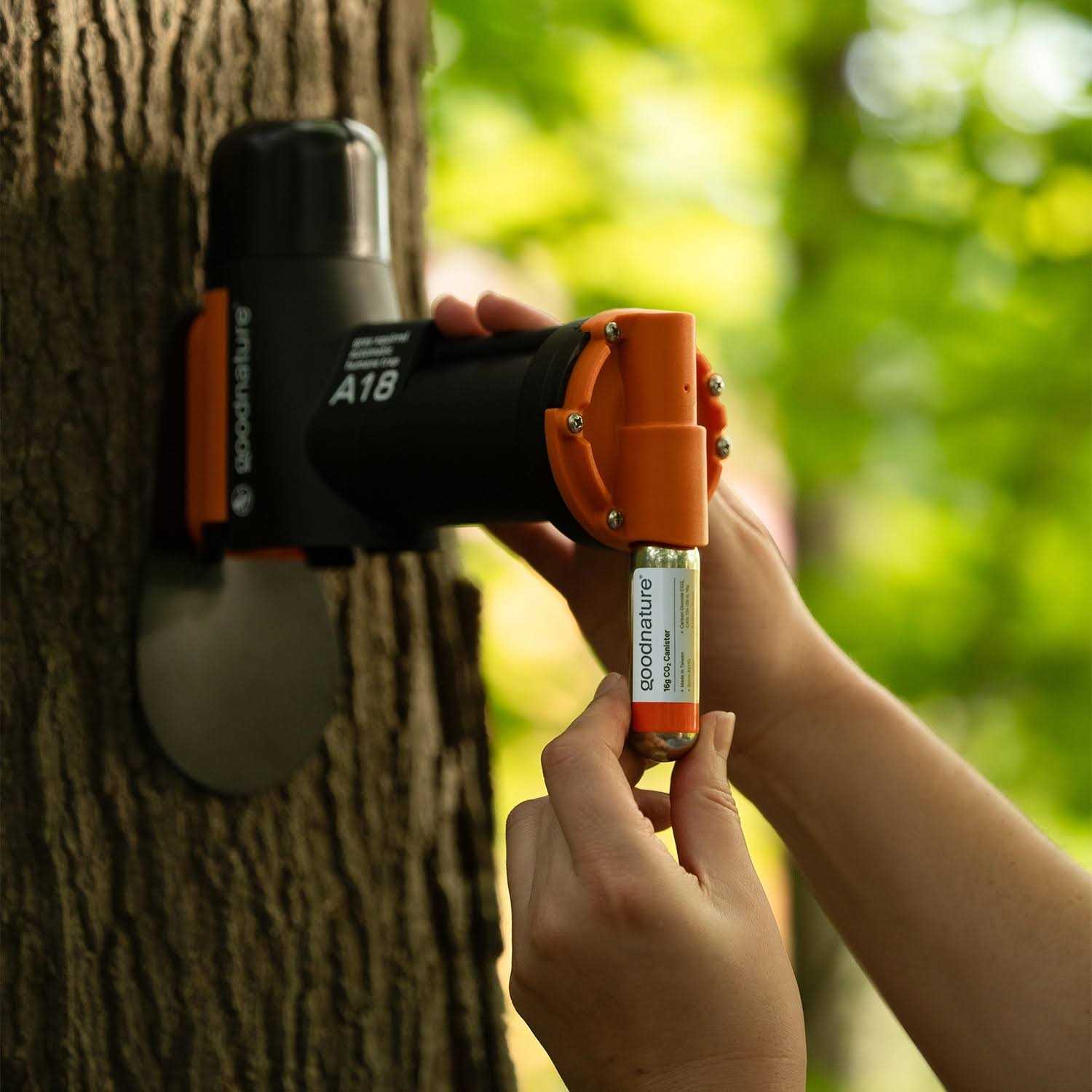 Goodnature A18 Squirrel Trap Kit