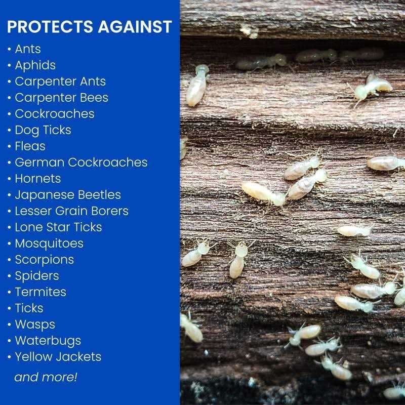 BioAdvanced Carpenter Ant & Termite Killer Plus