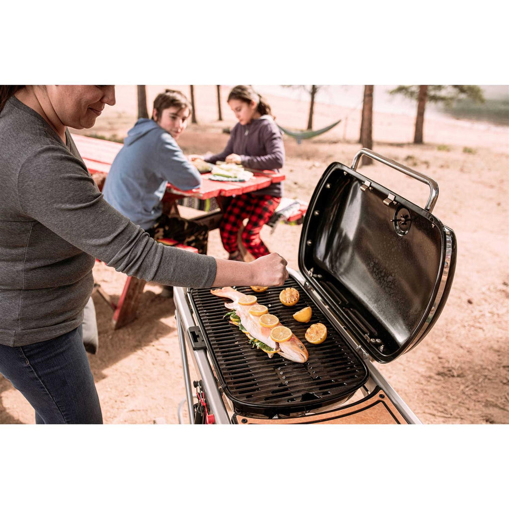 Weber Traveler