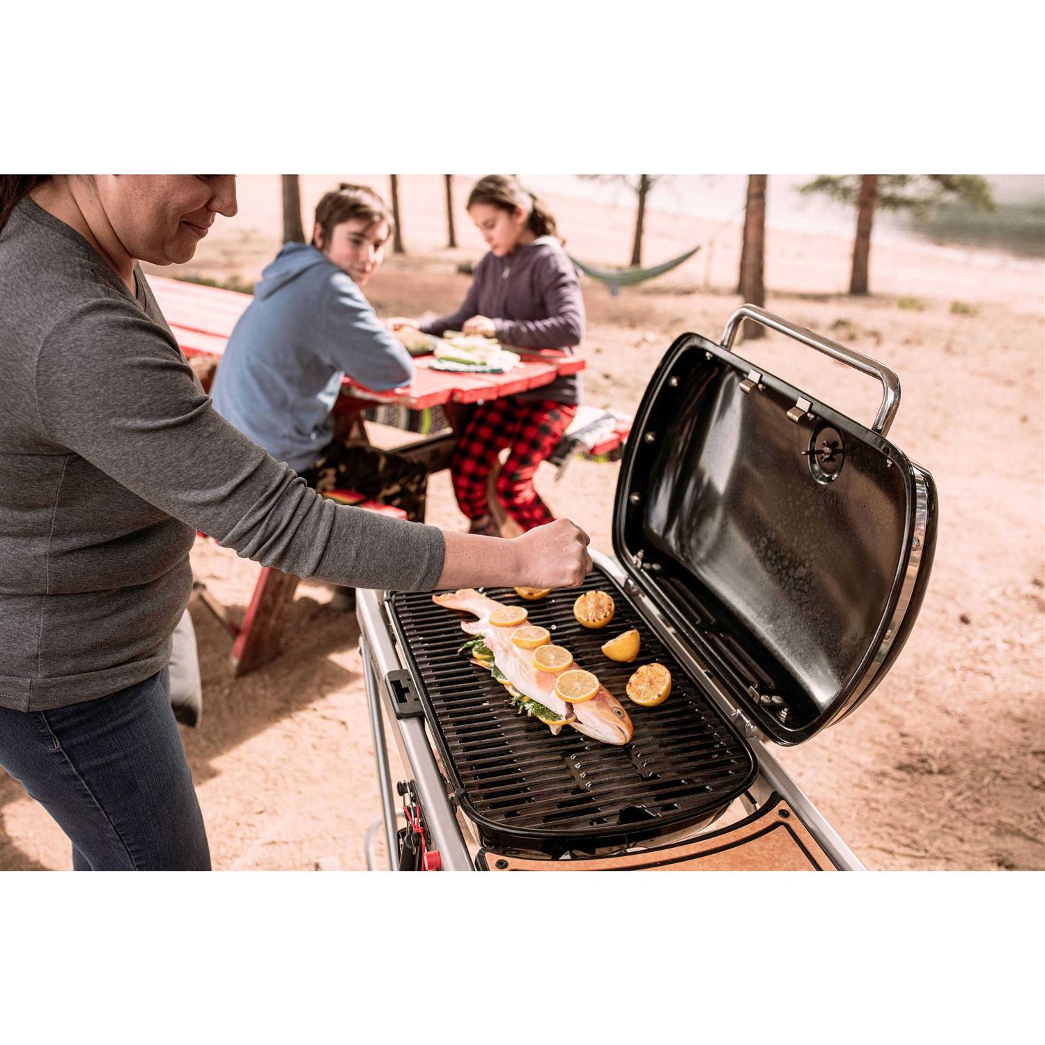 Weber Traveler