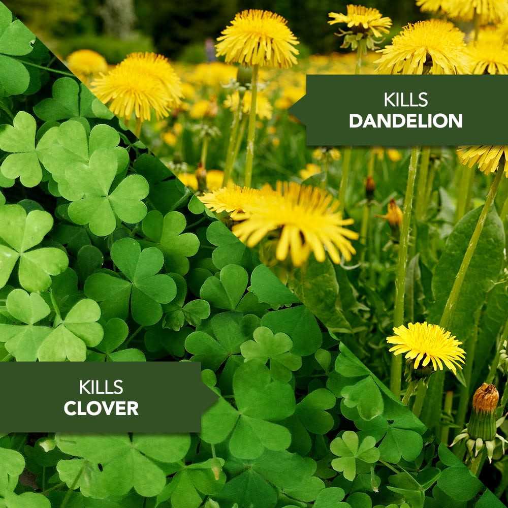 BioAdvanced All-In-One Lawn Weed & Crabgrass Killer